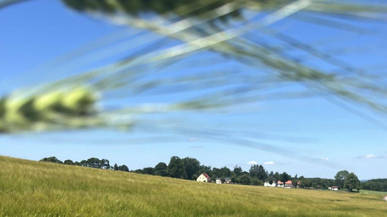 Ganze Ferienwohnung, Ferienwohnung für 2 Personen (45 m²) in Dippoldiswalde in Dippoldiswalde, Osterzgebirge