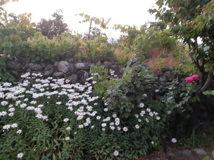 Location de vacances pour 4 personnes, avec vue ainsi que jardin et piscine à Candeleda - 4