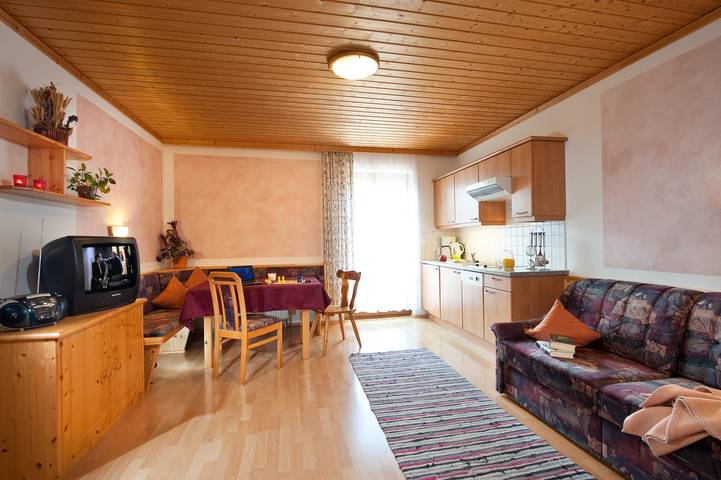 Ganze Ferienwohnung, Apartment 45m2/ 1 Schlafraum/Dusche, Wc in Hohe Tauern, Dorfgastein