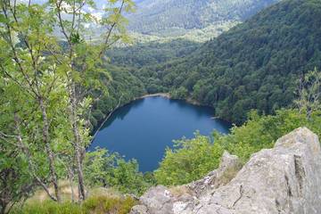 Gîte pour 6 personnes, avec jardin et piscine, animaux acceptés à Saint-Maurice-sur-Moselle