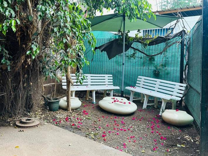 Gîte pour 2 personnes, avec jardin à Koungou - 2