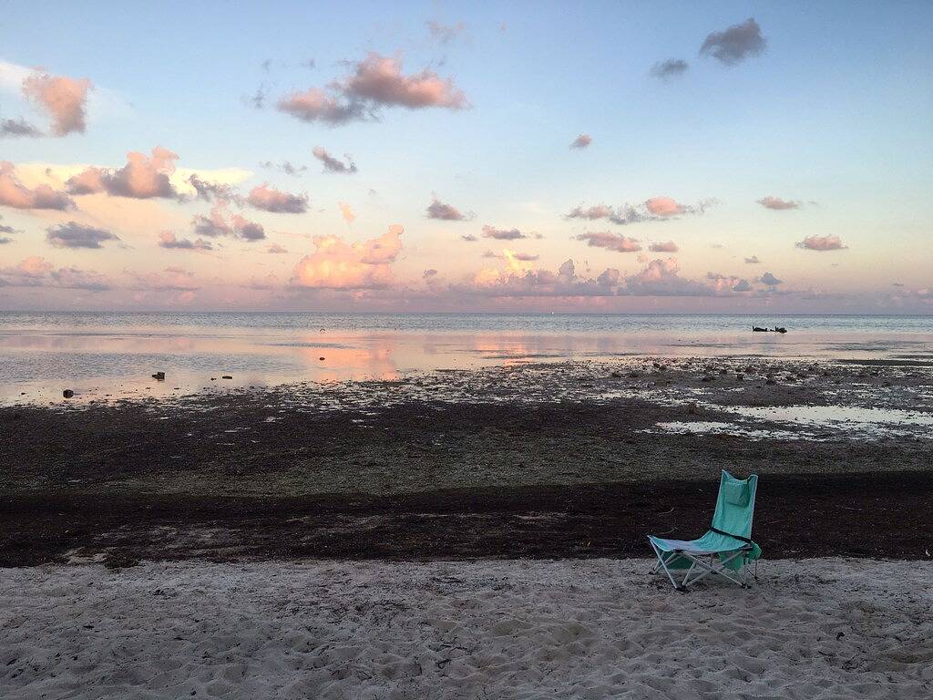 Ganze Wohnung, Oceanfront Sandy Beach Ferienhaus Einheit 2 in Marathon, Monroe County