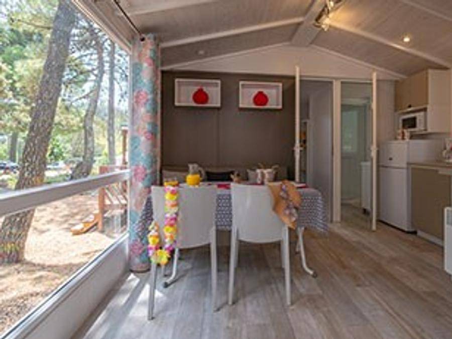 Camping La Pinède en Provence - Mobilheim 4 personen - Dill Plus in Mondragon, Vaucluse