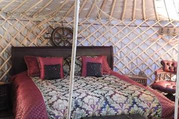 Glamping for 5 People in Southbourne, West Sussex, Photo 4