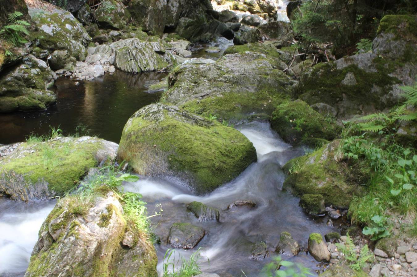 Haus Panorama - Ferienwohnung 2 mit Terrasse in Hohenau, Ostbayern