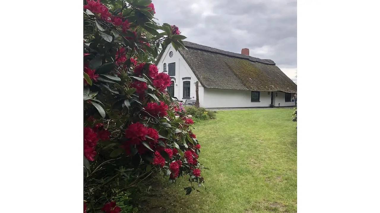 Ferienhaus für 4 Personen (75 m²) in Grasberg in Grasberg, Niedersachsen