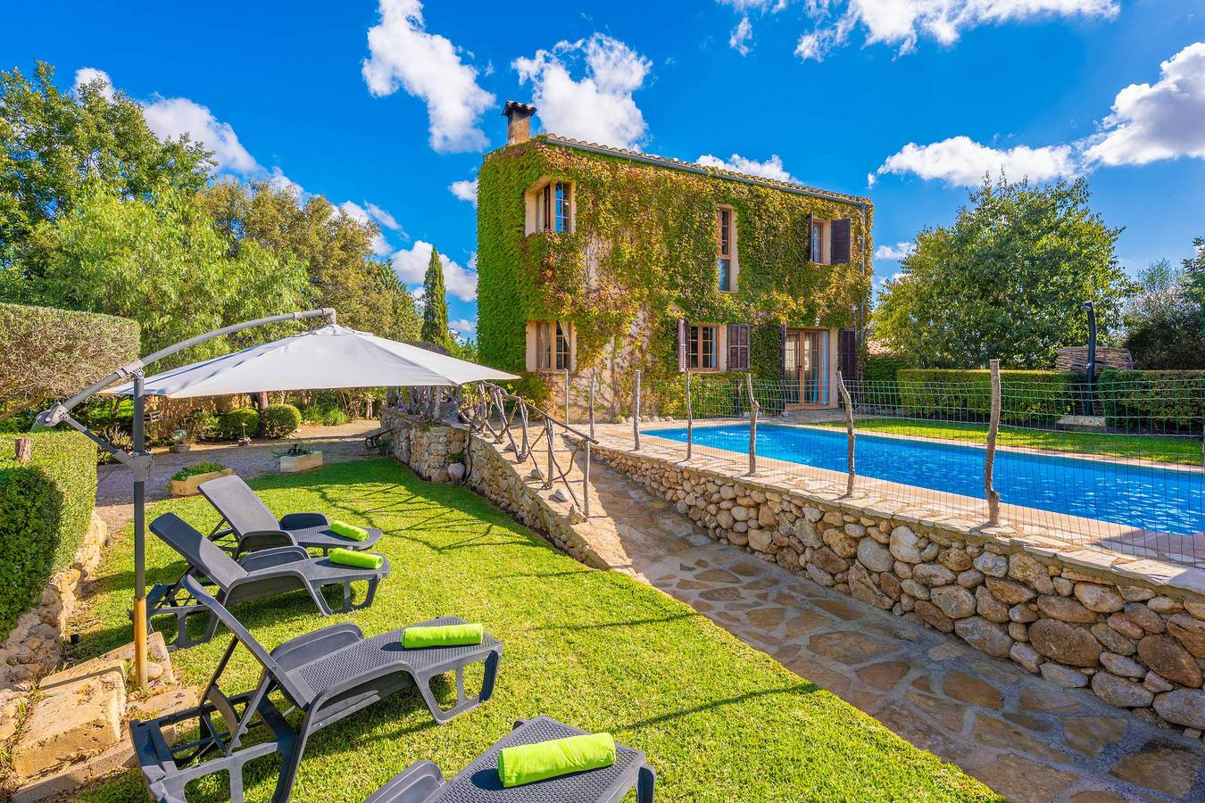 Sa Sort Llarga in Moscari, Selva