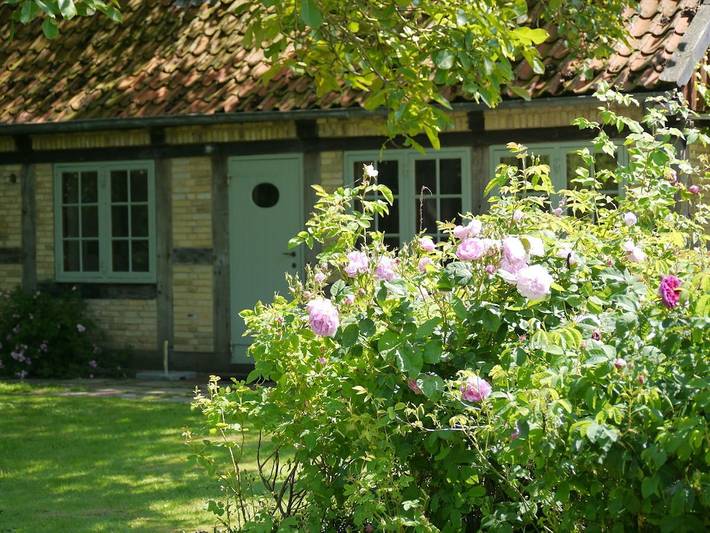 Ferienhaus für 5 Personen, mit Terrasse, mit Haustier in Arnis - 3