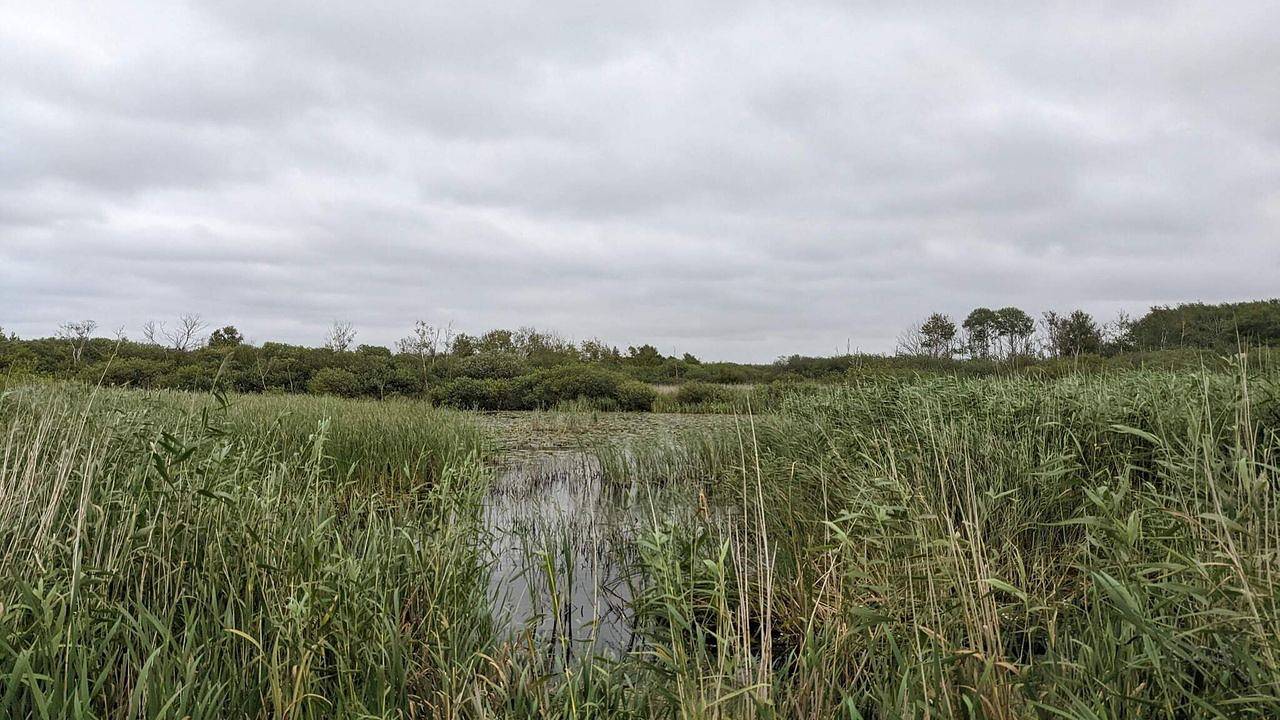 Ferienhaus für 6 Personen (80 m²) in Bredebro in Bredebro, Tondern und Umgebung