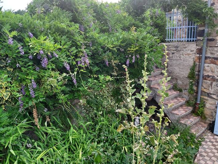 Gîte pour 10 personnes, avec terrasse et jardin en Haute-Loire - 4