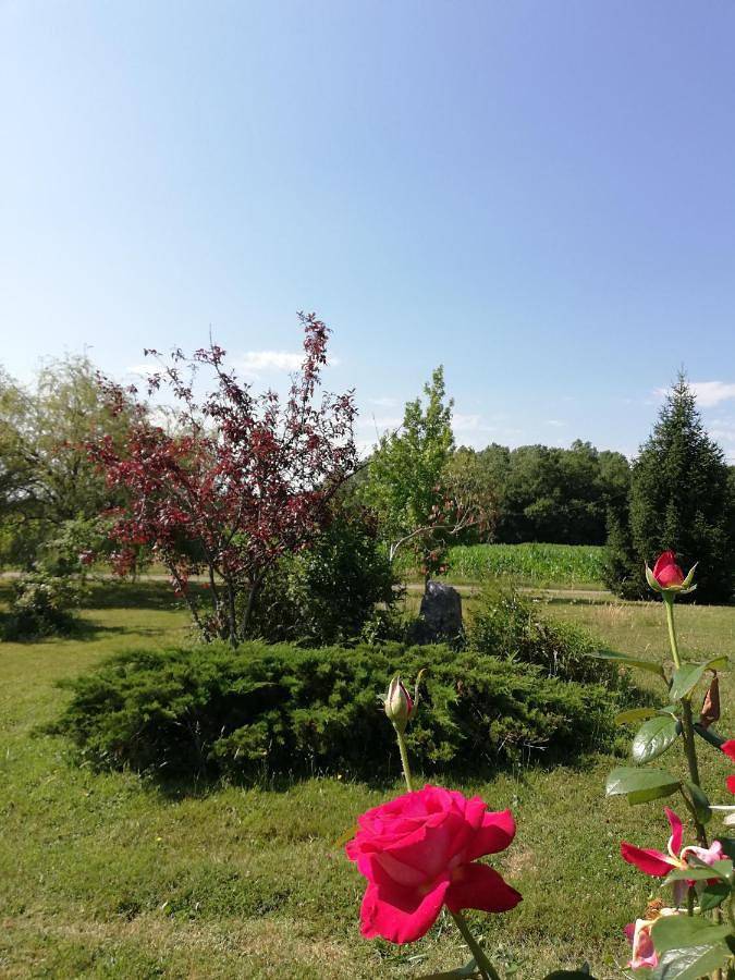 Location de vacances pour 4 personnes, avec jardin à Auriébat - 4