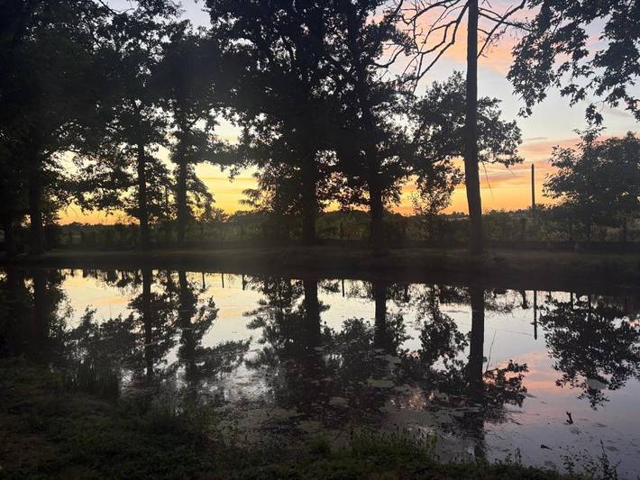Gîte pour 3 personnes, avec sauna ainsi que jacuzzi et jardin, animaux acceptés à Chazemais - 2