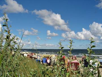 Hütte für 2 Personen in Zinnowitz, Usedom, Bild 1