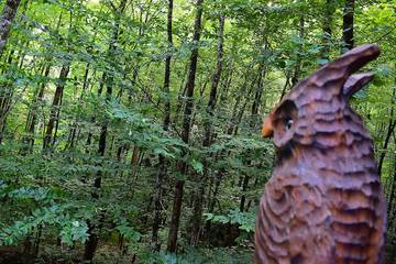 Glamping for 2 Guests in Blue Ridge Mountains, North Carolina, Picture 3