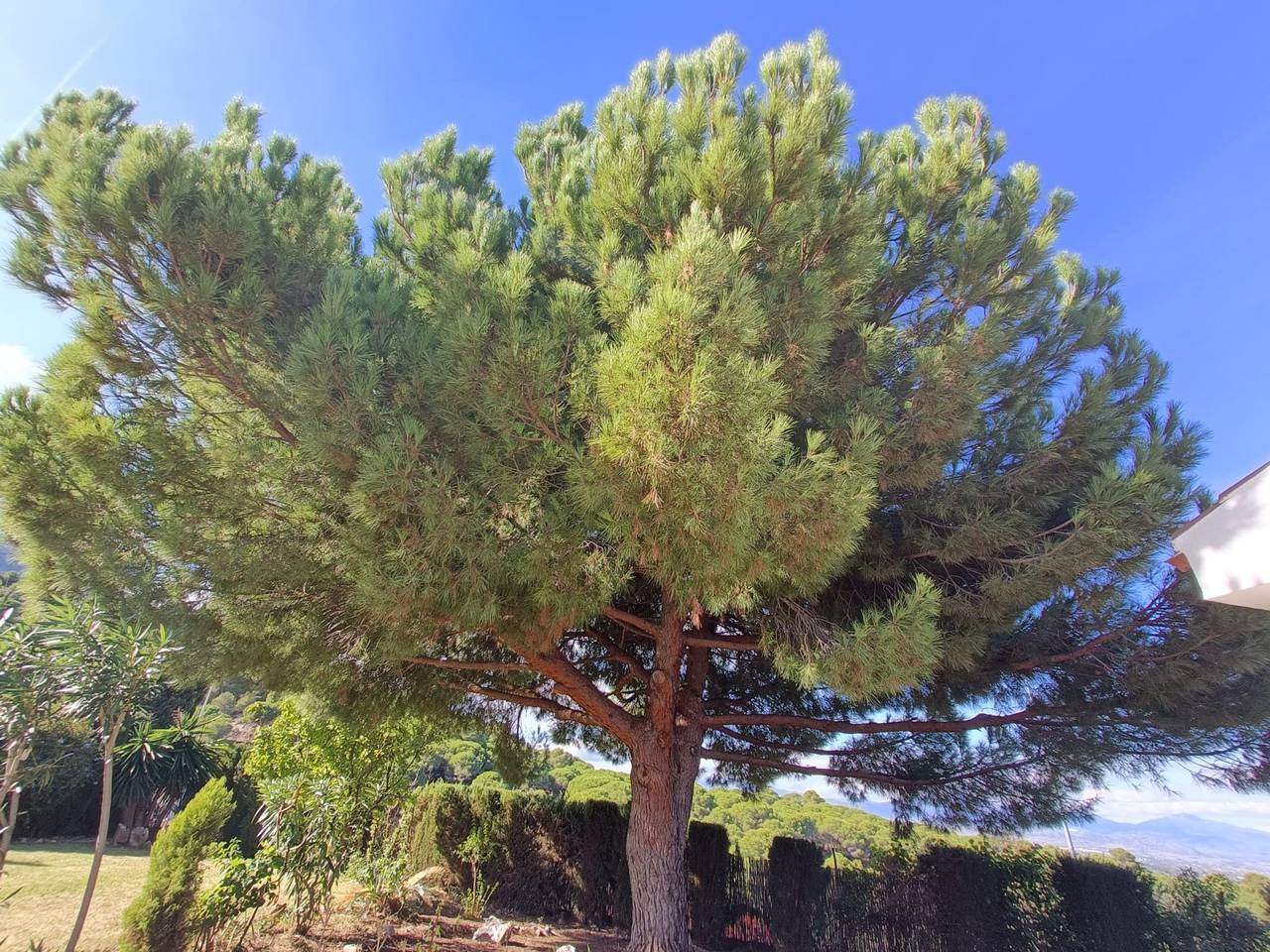 Villa Andalucia in Pinos de Alhaurín, Alhaurín de la Torre
