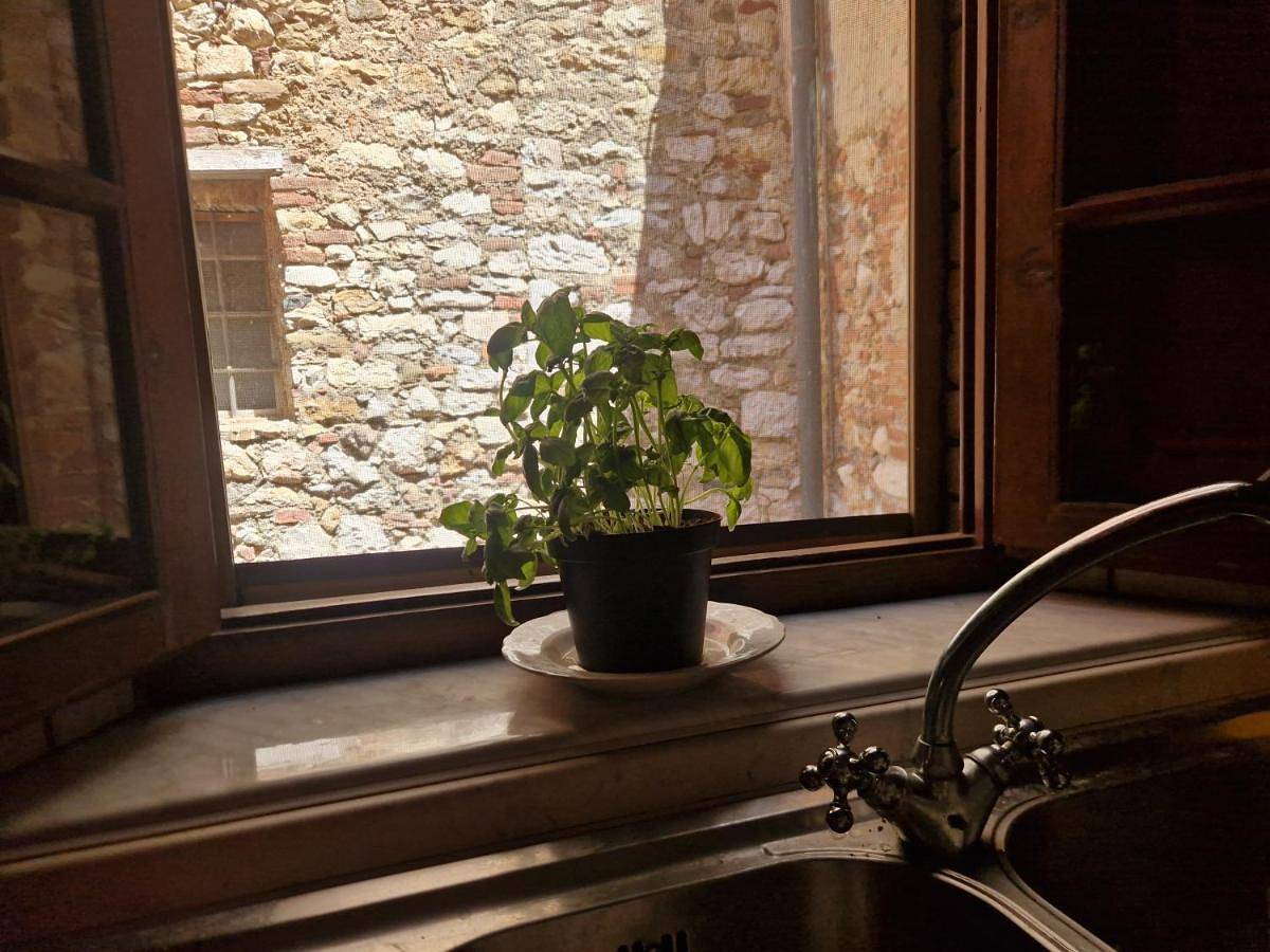 Casa Leonardo in Suvereto, Etruskische Küste