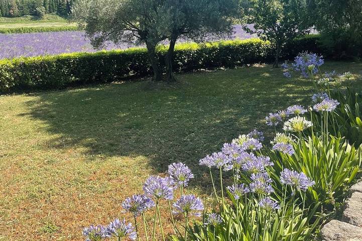 Gîte pour 10 personnes, avec jardin à Clansayes - 4