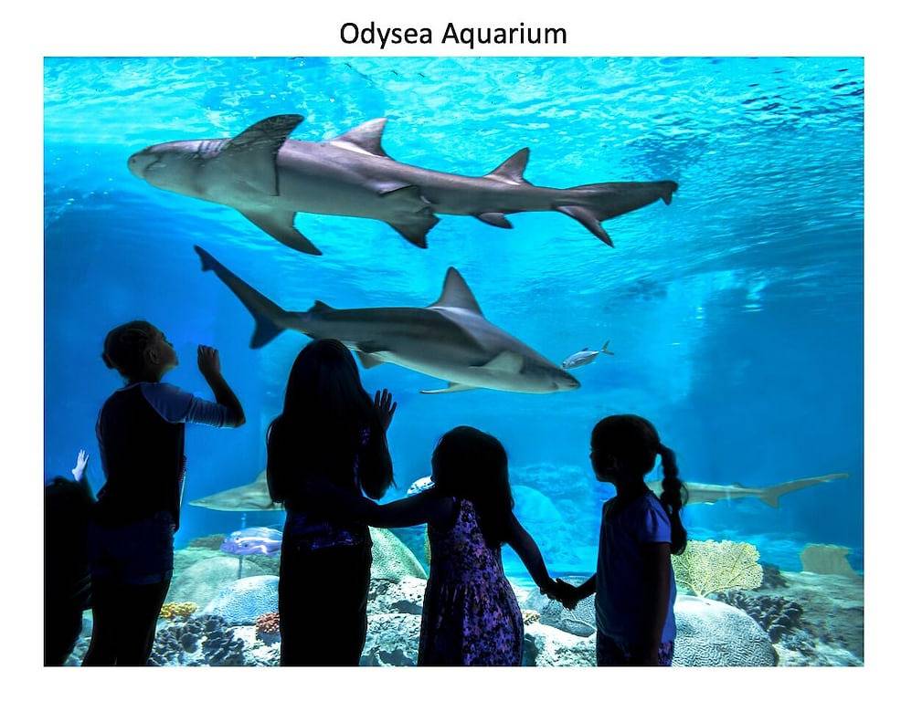 Ganze Wohnung, Minutes from Old Town, renovated & private single story, pool outside the door. in Scottsdale, Maricopa County