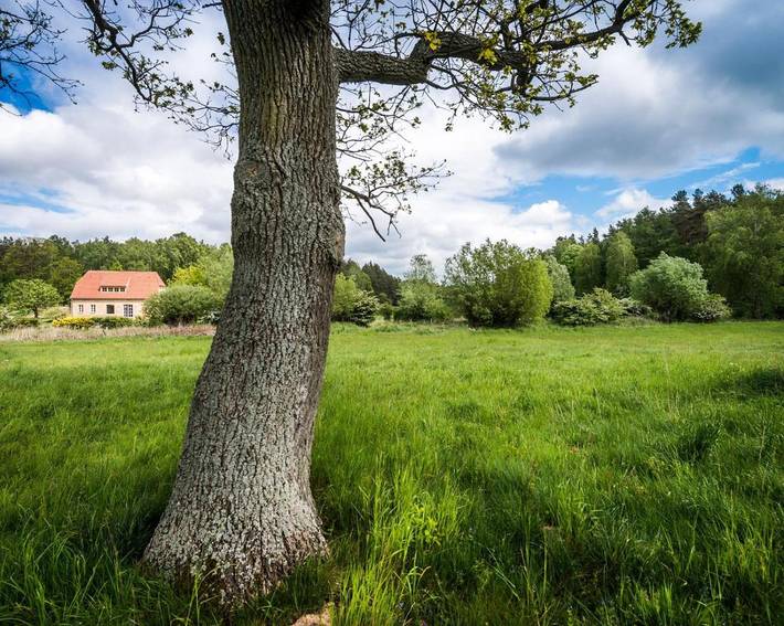 Ferienhaus für 2 Personen, mit Terrasse und Garten sowie Sauna und Ausblick in Großwoltersdorf - 2