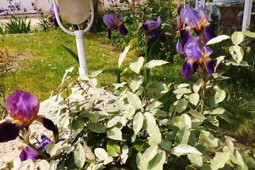 Location de vacances pour 8 personnes, avec jardin à Monprimblanc