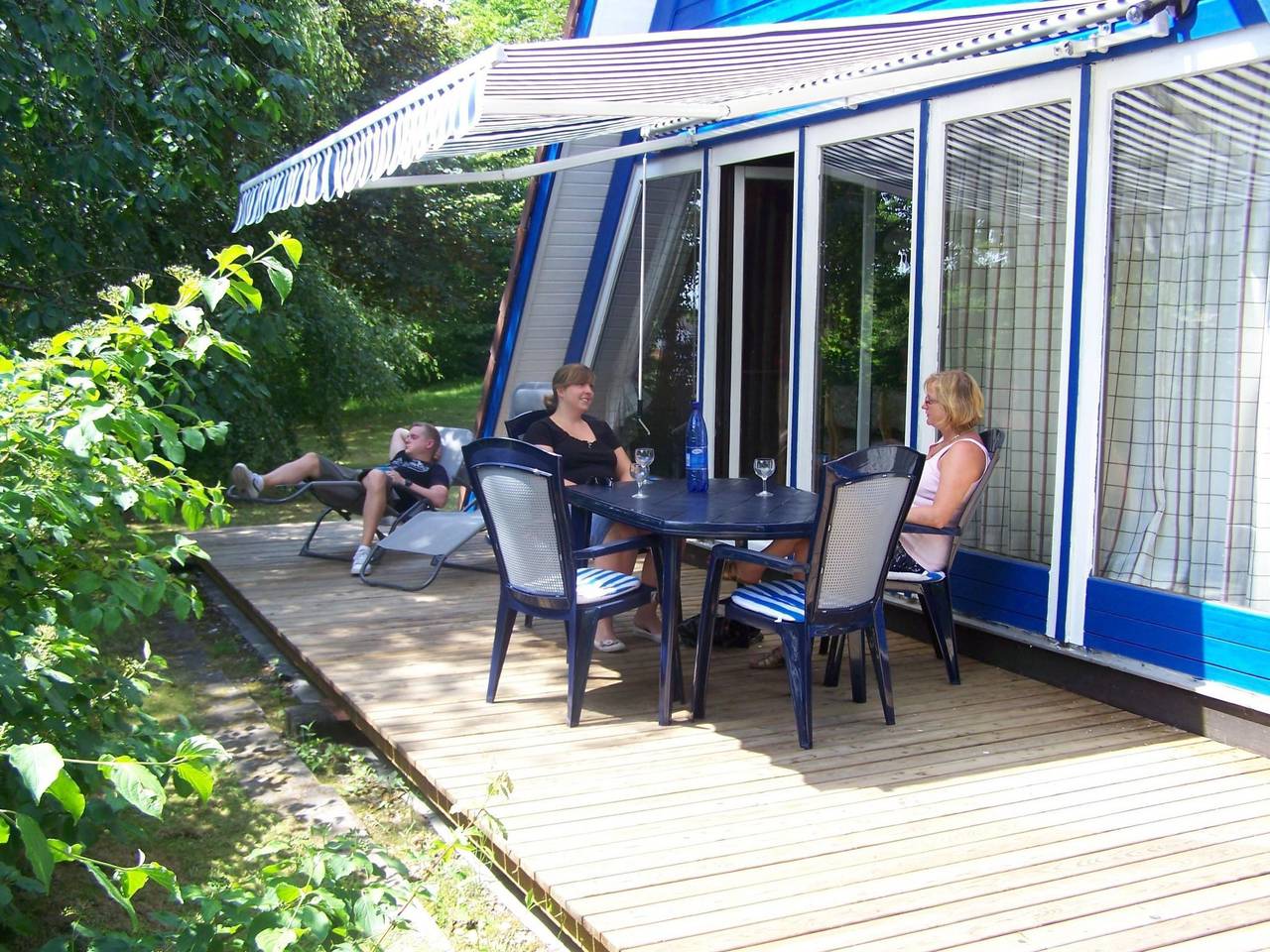 Kornblume in Machtlos, Ronshausen