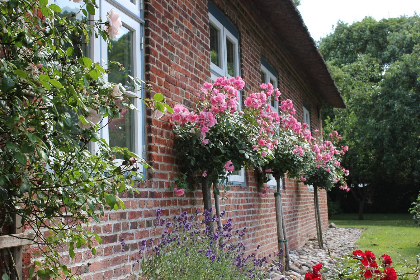 Ganze Wohnung, Ferienwohnung 'Giebelwohnung' mit Gemeinschaftsgarten und Wi-Fi in Rodenäs, Nordfriesland