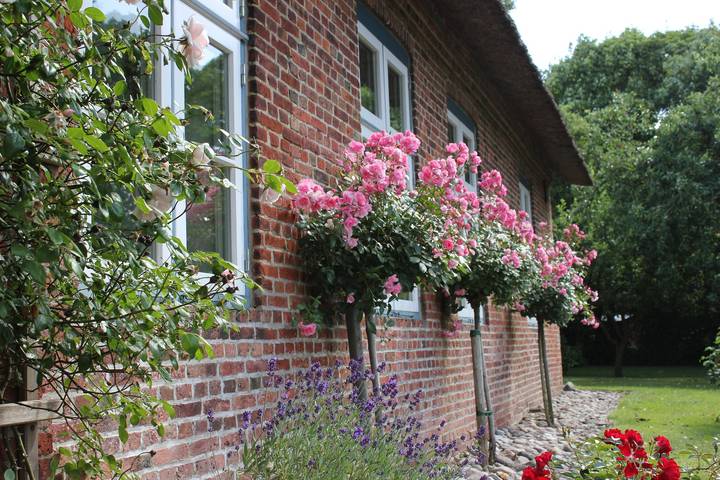 Ferienwohnung für 2 Personen, mit Garten in Nolde Museum - 4