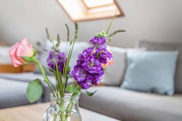Ferienhaus für 4 Personen in Nieblum, Föhr, Bild 4