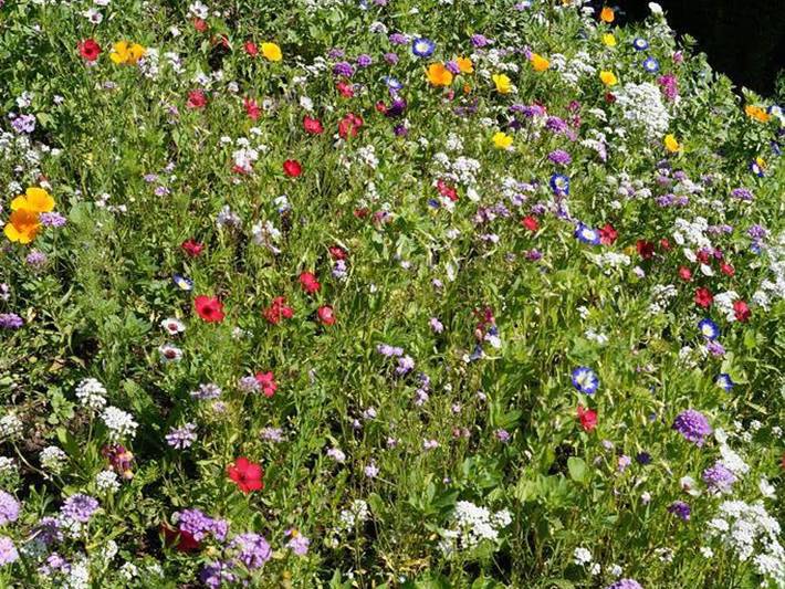 Ferienwohnung für 2 Personen, mit Terrasse und Garten, kinderfreundlich in der Zugspitzregion - 3