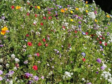 Ferienwohnung für 4 Personen in Bad Kohlgrub, Bayerische Alpen, Bild 2
