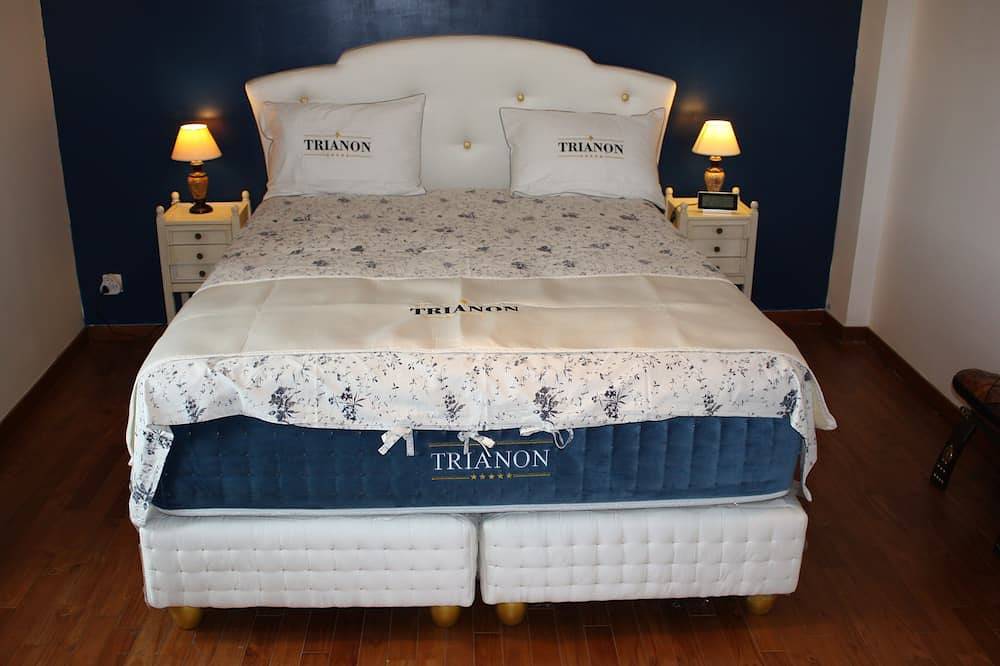 La Douce France Trianon / Summer rates 2024 in Chinon, Loire Valley