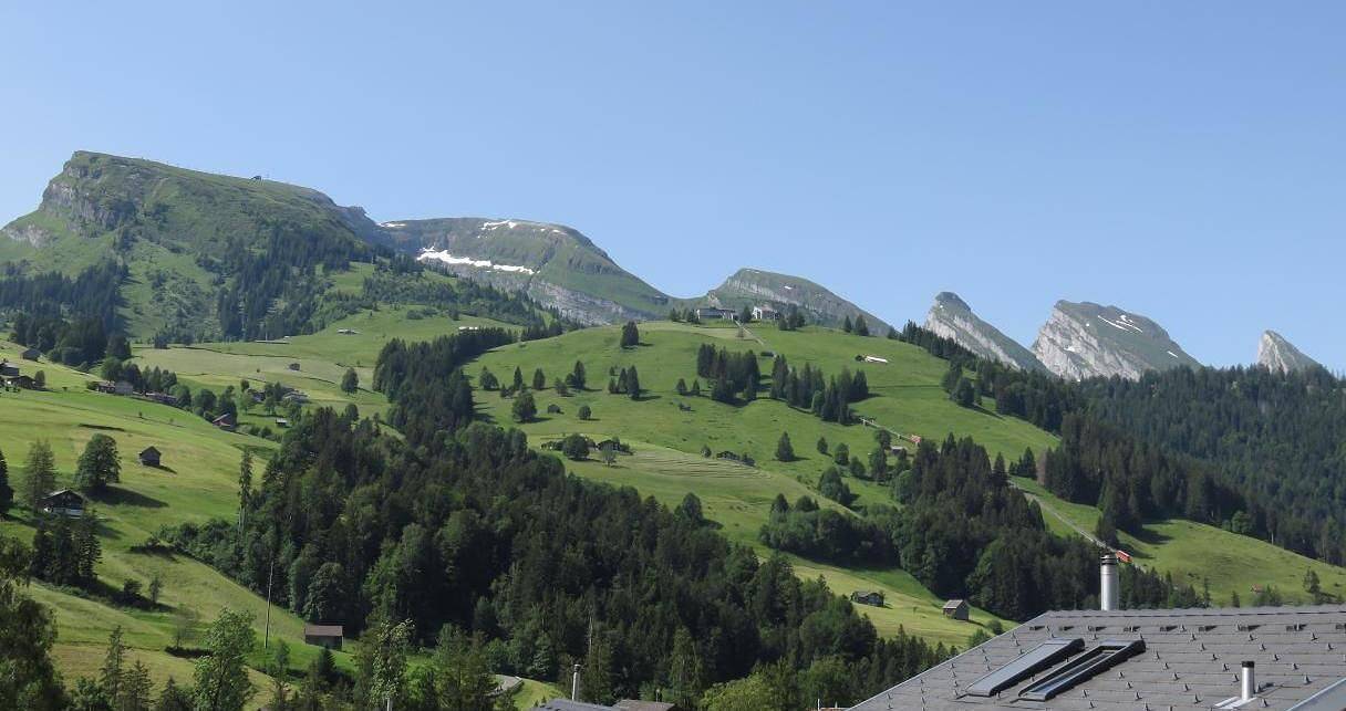 Ganze Ferienwohnung, Haus Melissa in Unterwasser, Wildhaus-Alt St. Johann