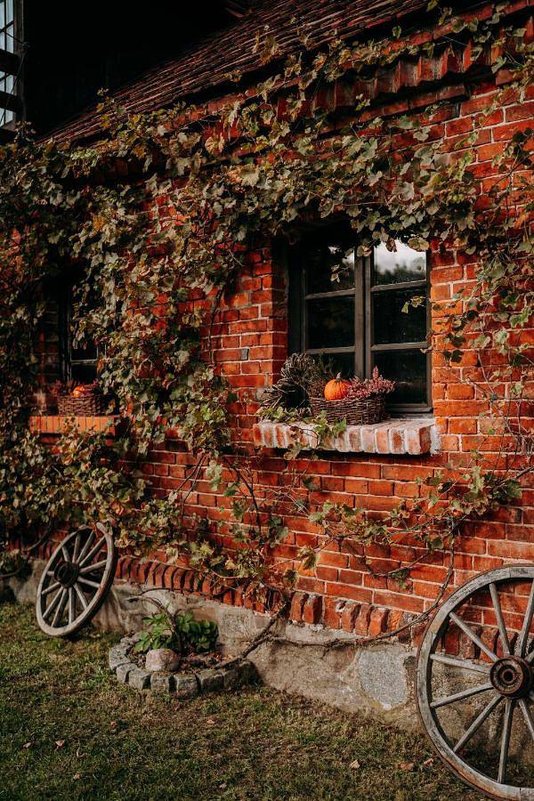 Apartament w Zabytkowej Stajni nad Jeziorem z Dostępem do Parku i Sąsiedztwem Xix wiecznego Dworku Modrzewiowego in Bory Tucholskie