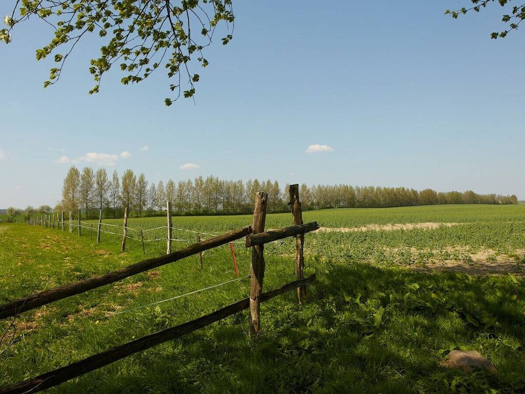 Rheinsberg im Gutshaus Lexow in Walow, Mecklenburgische Seenplatte