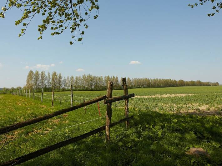 Ferienhaus für 8 Personen, mit Garten in Walow - 4