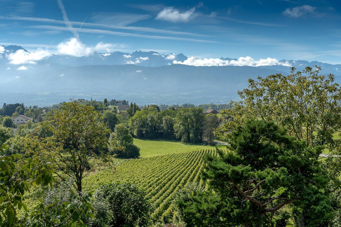 Gite De Myans 15 Personnes avecjardin, barbecue vue sur les montagnes, terrasse privée et Wi-Fi in Myans, Région de Chambéry