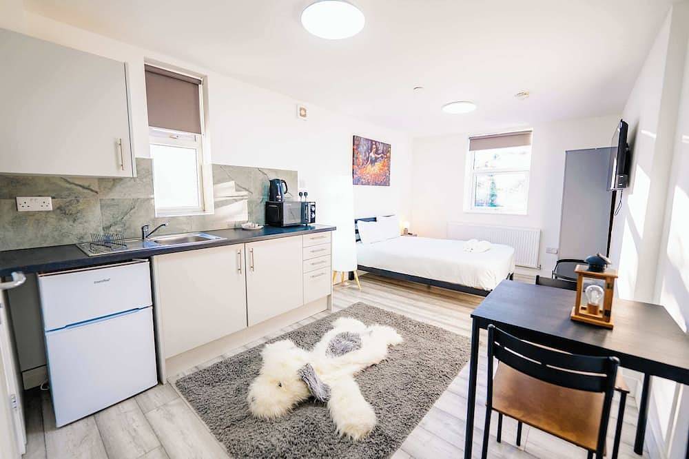 Ganze Wohnung, Claude Road Studio in Cardiff, Cardiff und Umgebung