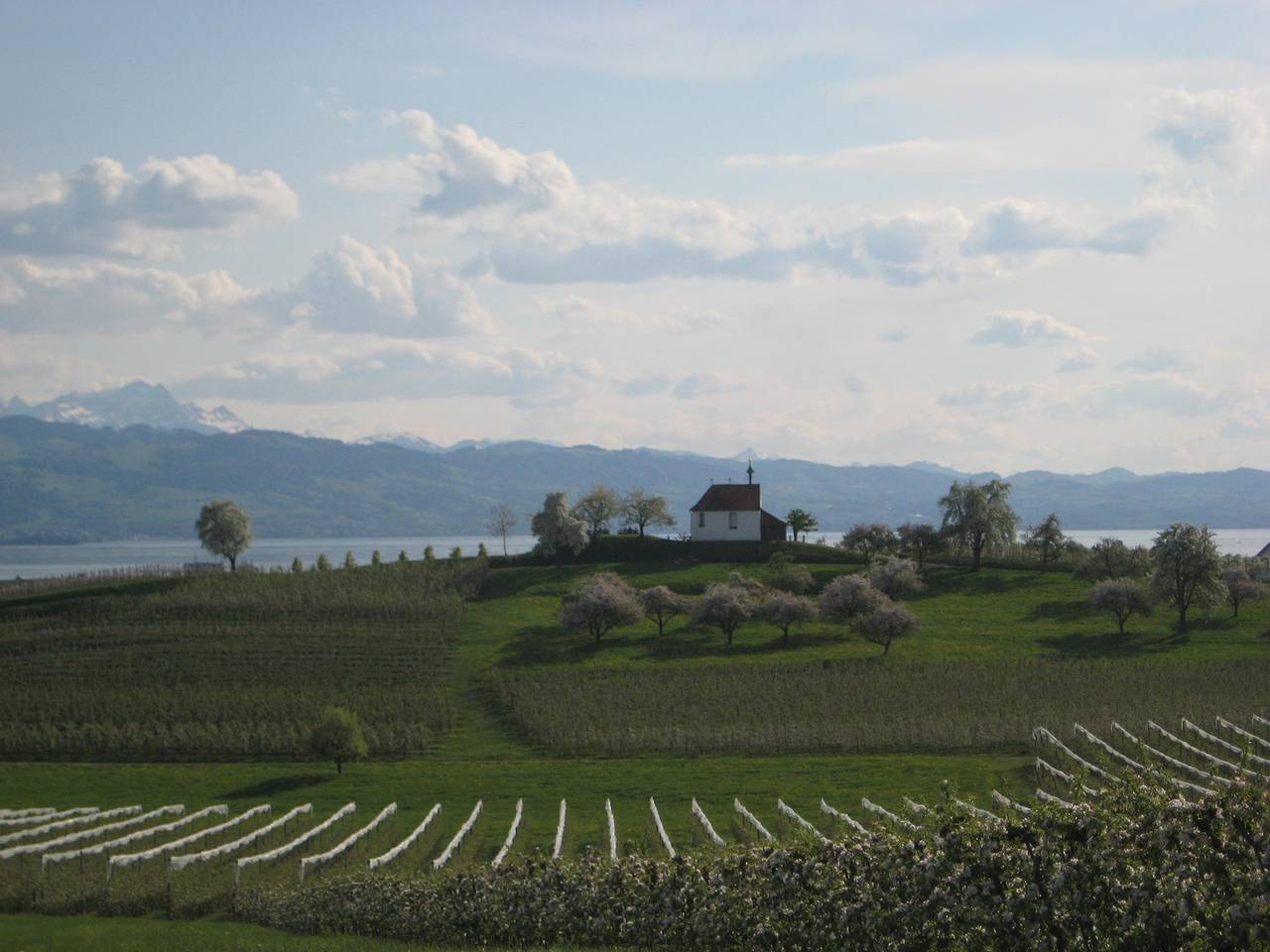 Ferienhof Hotz - Ferienwohnung 1, 70qm, 1 Schlafzimmer, max. 4 Personen in Wasserburg (Bodensee), Bayerisch Schwaben