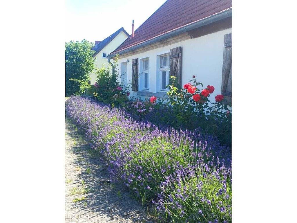 Landlust Baumgarten in Baumgarten (Sonnenberg), Sonnenberg