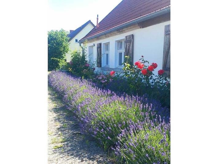 Ferienhaus für 4 Personen, mit Terrasse und Garten - 1