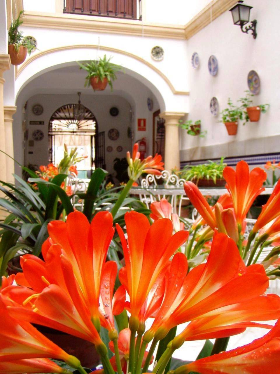 Hostal Maestre in Distrito Centro (Córdoba), Córdoba