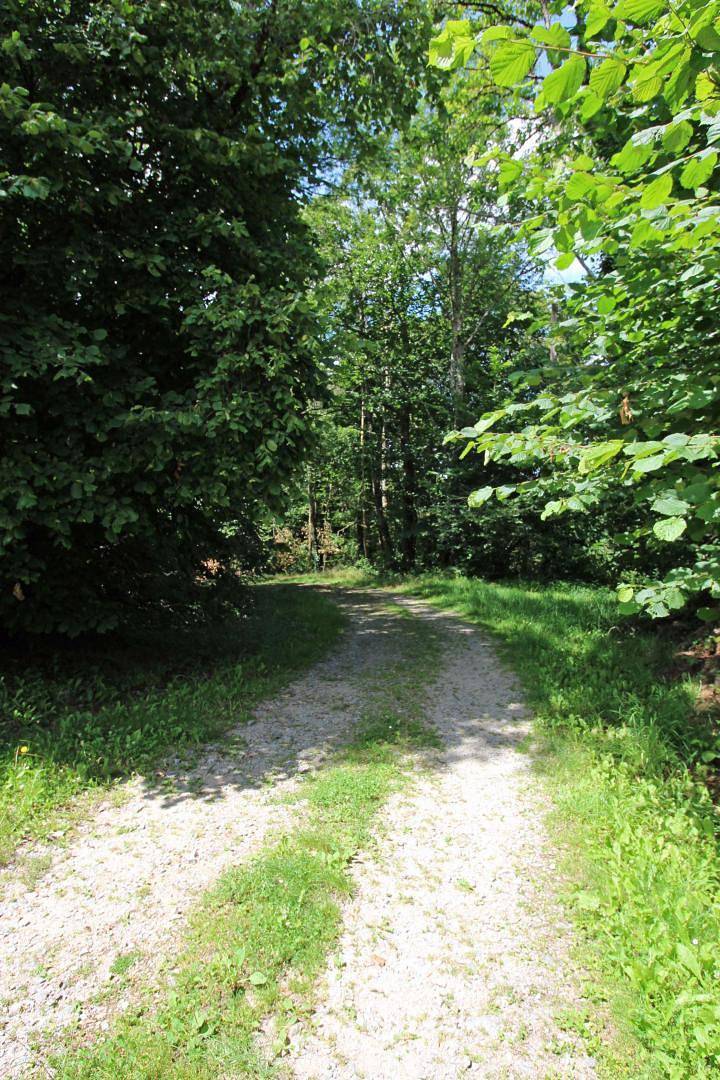 La Ressourcerie in Saint-Pardoux, Bellac region