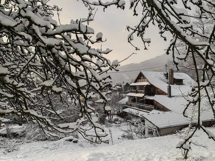 Location de vacances pour 2 personnes, avec vue et jardin, animaux acceptés à Bergheim - 3