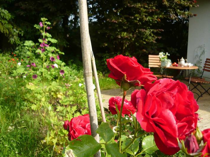 Ganze Wohnung, Apartment „Willkommen in unserer Oase der Ruhe“ mit privater Terrasse, Garten & Wlan in Winterstetten, Leutkirch im Allgäu