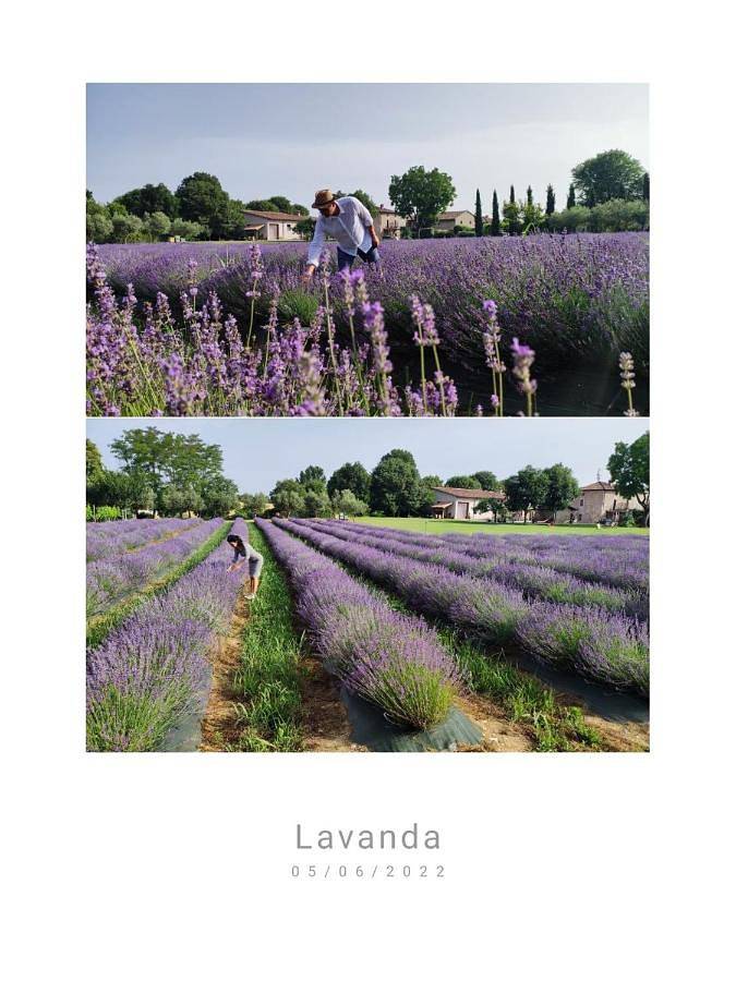 Corte Davini Agriturismo in Monzambano, Provincia di Mantova