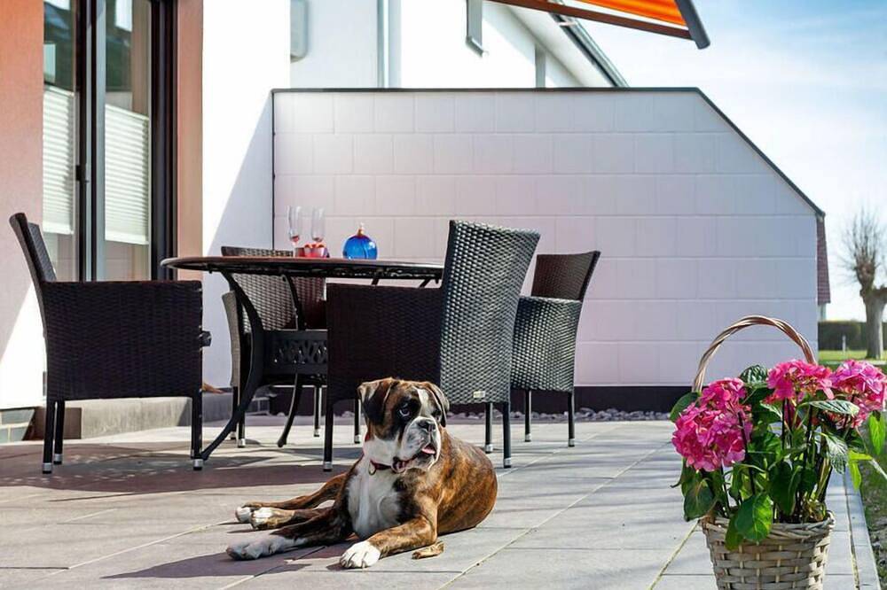 Casa vacanza a Rugen a partire da 246€ a notte