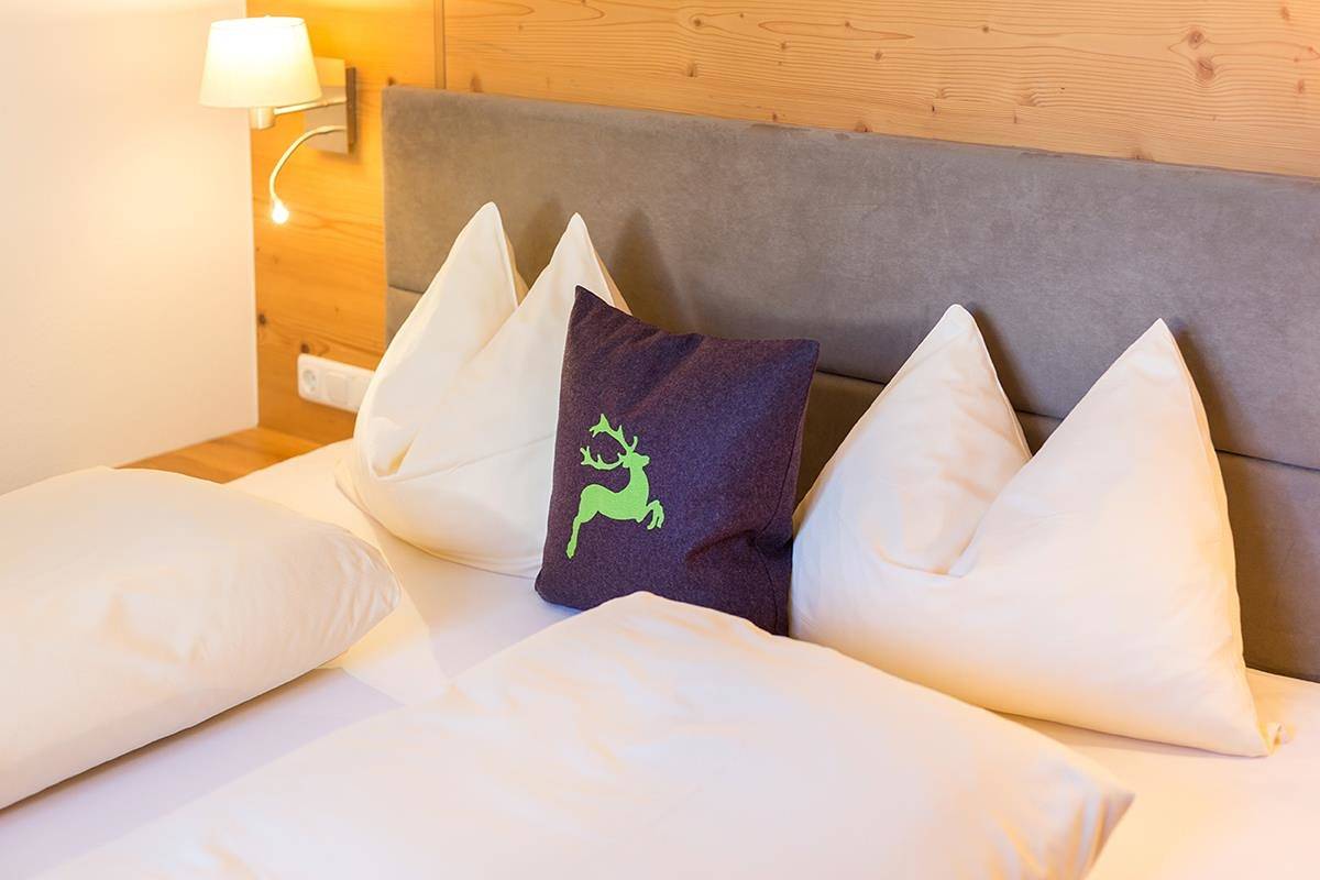 Ganze Ferienwohnung, Appartement "Morgentau" 1 bis 5 Personen in Mühlbach am Hochkönig, Ski Amadé