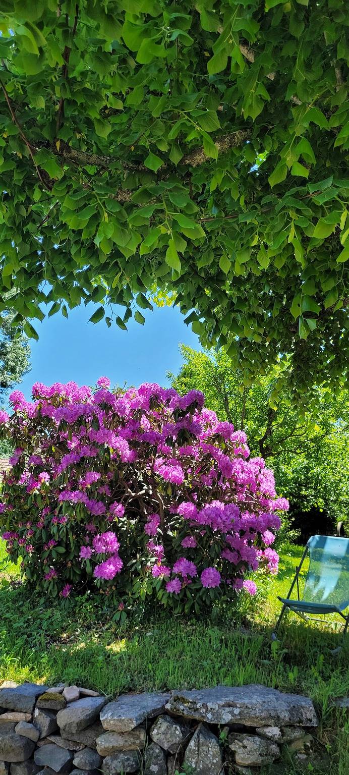 Gastenkamer 'Chambre Margeride' met privéterras, foto 15