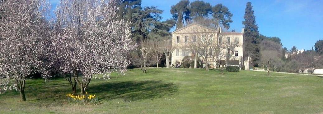 Chambre d’hôte pour 2 personnes, avec piscine et jardin à Aubagne - 3