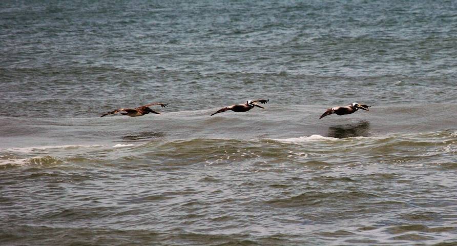 Vacation house for 8 people, with pool and balcony in Nags Head